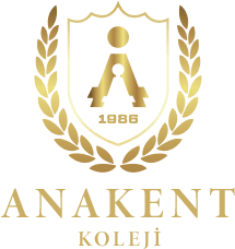 Anakent Dijital